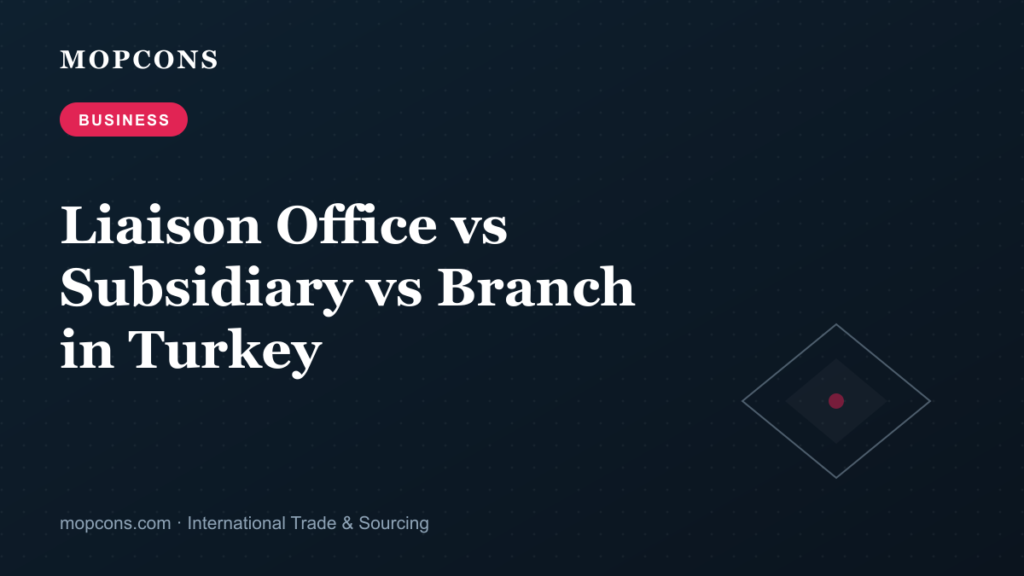 Liaison Office vs Subsidiary vs Branch in Turkey: Which to Choose